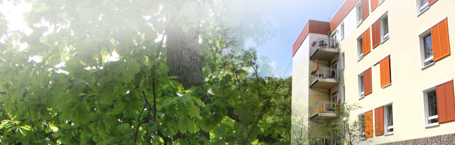 Link zur Homepage